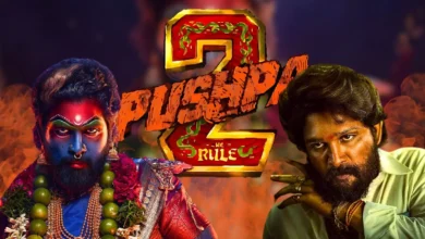 Pushpa 2 Screening: पुष्पा 2 के प्रीमियर पर मची भगदड़ में 1 महिला की मौत, 2 अस्पताल में भर्ती