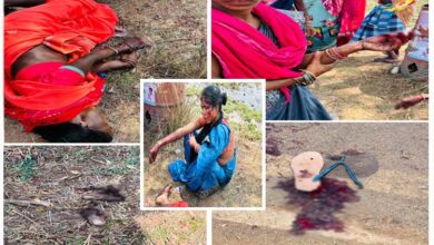 EXCLUSIVE : किसी की हाथ की अंगुलिया कटी किसी का फट गया सिर, बस्तर पण्डुम कार्यक्रम में भेड़-बकरियों की तरह भरकर ले जा रहे थे