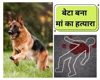 कुत्ता खरीदने के नहीं दिए पैसे : रायपुर के उरला में बेरहम बेटे ने मां की हत्या कर पत्नी पर भी बरसाया हथौड़ा कुत्ता खरीदने के नहीं दिए पैसे : रायपुर के उरला में बेरहम बेटे ने मां की हत्या कर पत्नी पर भी बरसाया हथौड़ा