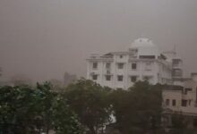 रायपुर में आंधी-तूफान ने मचाई तबाही: पेड़ गिरे, ट्रांसफॉर्मर टूटे, गुल रही बिजली
