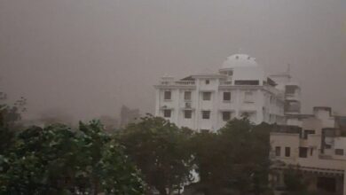 रायपुर में आंधी-तूफान ने मचाई तबाही: पेड़ गिरे, ट्रांसफॉर्मर टूटे, गुल रही बिजली